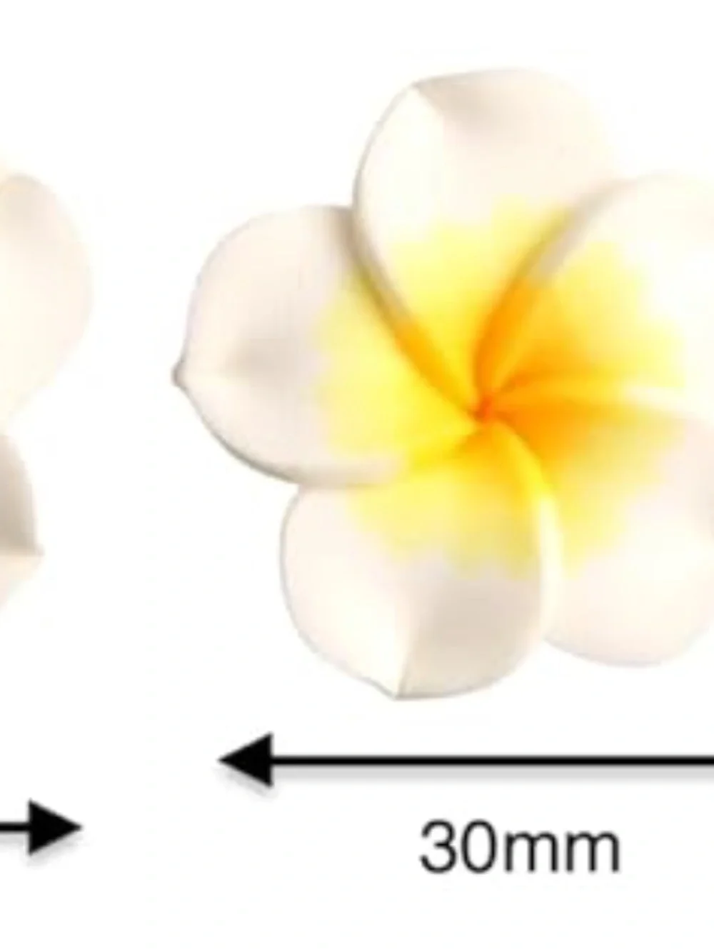 2.5” x 3.5” plumeria frame